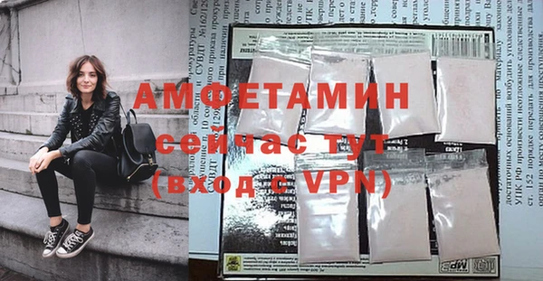 амф Дмитров