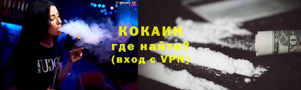 МДПВ Дмитриев