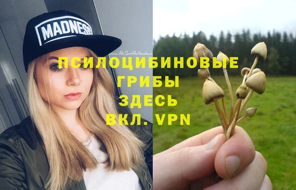 МДПВ Дмитриев