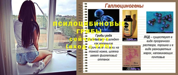 амф Дмитров