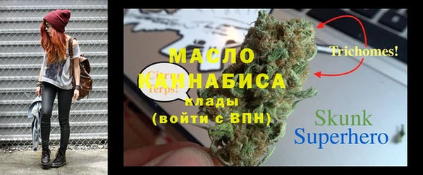 МДПВ Дмитриев