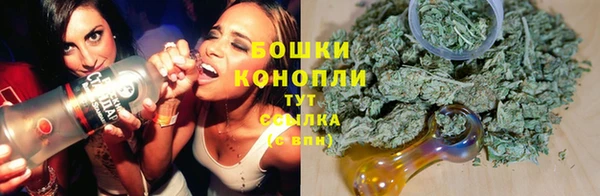 амф Дмитров