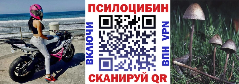 Галлюциногенные грибы мицелий  Купить  Мончегорск 